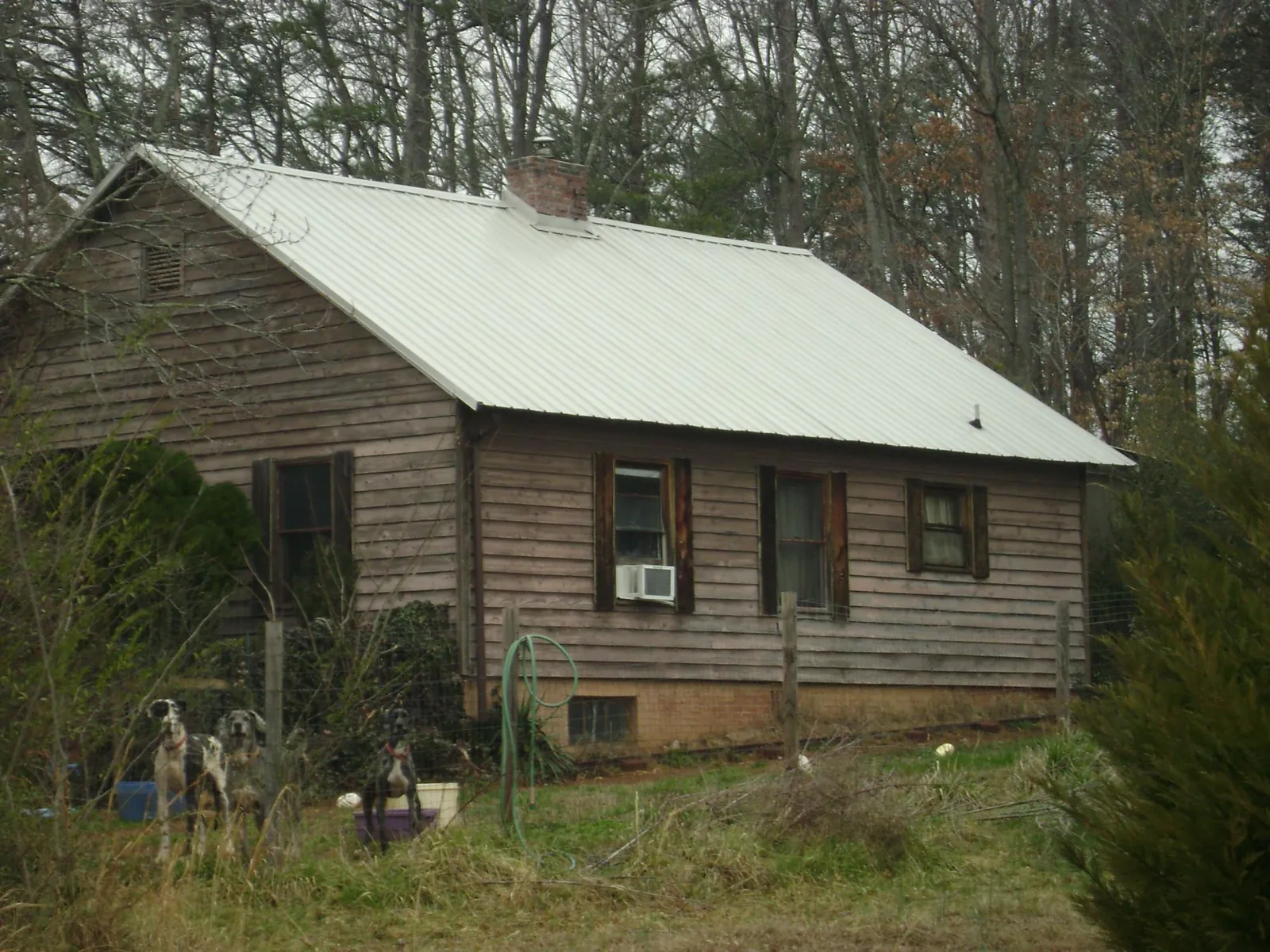 White metal roof on an old wood sided farmhouse, from a Asphalt Shingle Roof Repair job in Berthoud